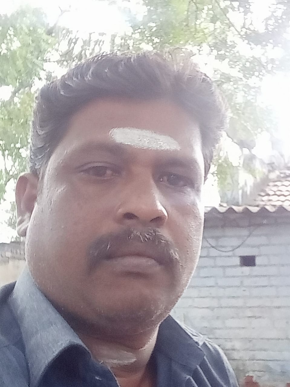 போயர்  மறுமணம்  FK1486